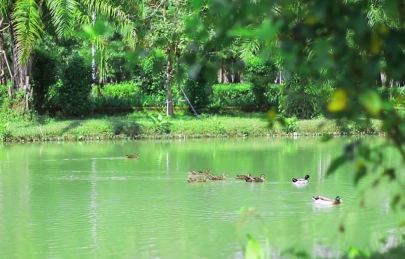 Khoảnh khắc yên bình tại Ecogarden